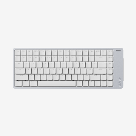 【予約注文】Flow2 84